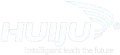 Viiju Automation